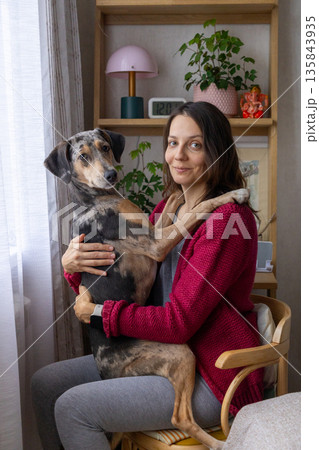 woman holds dog in her arms, sitting on a chair. whippet dog is spotted and funny. woman smiles. woman holds dog in her arms, sitting on a chair. whippet dog is spotted and funny. woman smiles. 135843935
