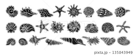 Various Seashells Starfish Ink Silhouette Style Sticker Set Hand Drawn Marine Nautical Illustration Various Seashells Starfish Ink Silhouette Style Sticker Set Hand Drawn Marine Nautical Illustration 135843949