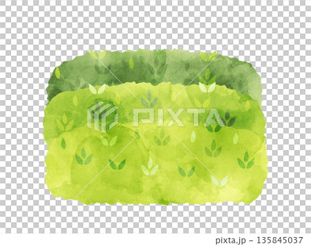 茶畑をイメージしたイラスト　水彩風加工バージョン 135845037