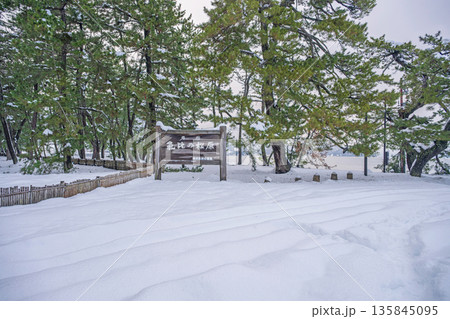 気比の松原 雪景色 135845095