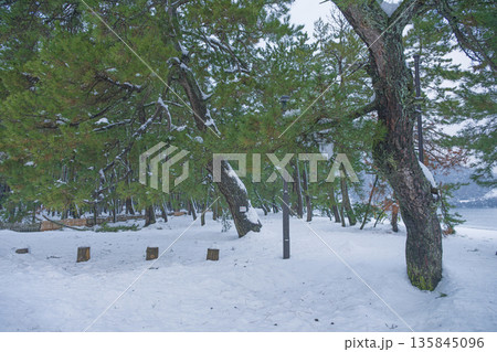 気比の松原 雪景色 135845096