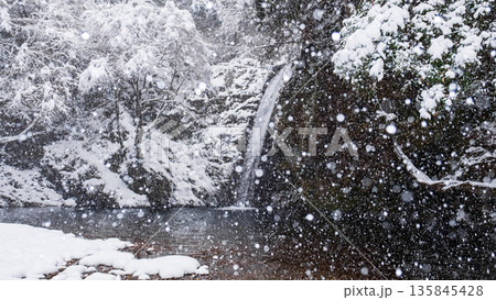 横谷峡(冬):白滝 横谷峡(冬):白滝 135845428