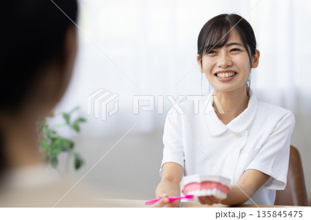 歯の模型と歯ブラシを使って歯磨きの仕方を教える白衣を着た若い女性 135845475