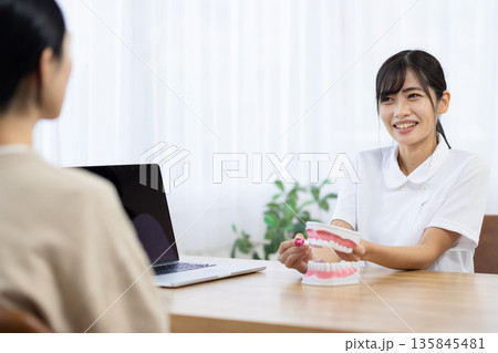 歯の模型と歯ブラシを使って歯磨きの仕方を教える白衣を着た若い女性 135845481