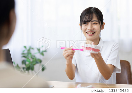 歯の模型と歯ブラシを使って歯磨きの仕方を教える白衣を着た若い女性 135845486