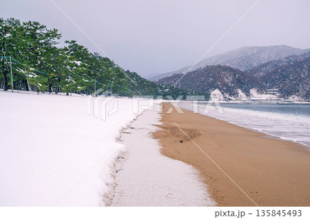 気比の松原 雪景色 気比の松原 雪景色 135845493