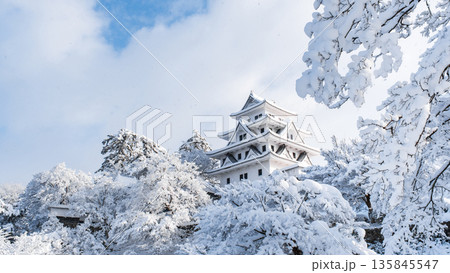 郡上八幡城（冬） 135845547