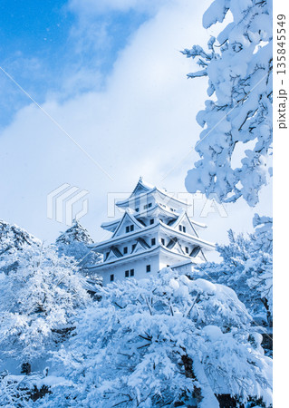 郡上八幡城(冬) 郡上八幡城(冬) 135845549