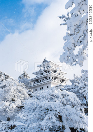 郡上八幡城（冬） 135845550