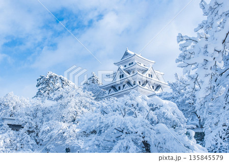 郡上八幡城（冬） 135845579
