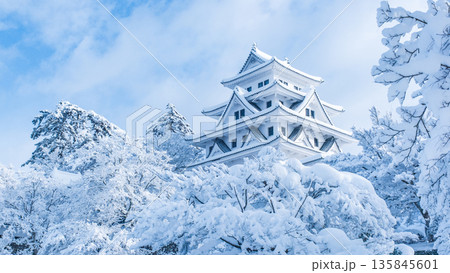 郡上八幡城（冬） 135845601
