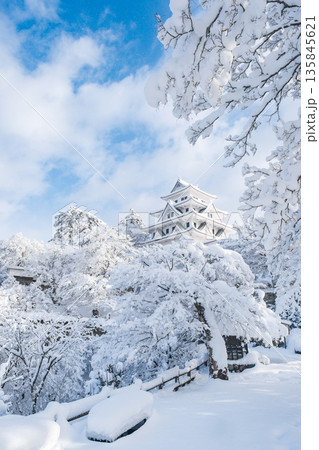 郡上八幡城（冬） 135845621