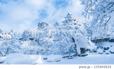 郡上八幡城（冬） 135845624