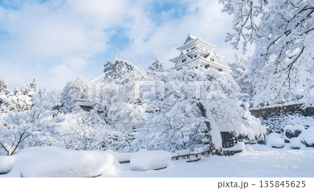 郡上八幡城（冬） 135845625