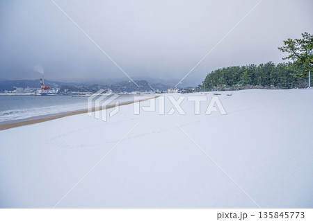 気比の松原 雪の浜辺 135845773
