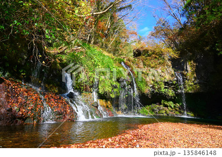 陣馬の滝 紅葉 富士宮市 陣馬の滝 紅葉 富士宮市 135846148