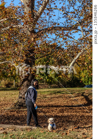 A woman is walking her dog in a park A woman is walking her dog in a park 135846266