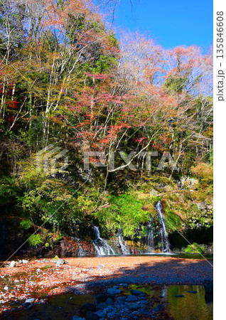 陣馬の滝 紅葉 静岡 陣馬の滝 紅葉 静岡 135846608