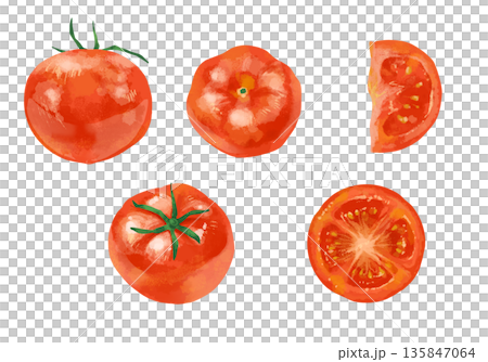 瑞々しいトマトの断面ののイラスト 瑞々しいトマトの断面ののイラスト 135847064