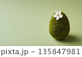 Moss-covered Easter egg with a delicate white flower on green background 135847981