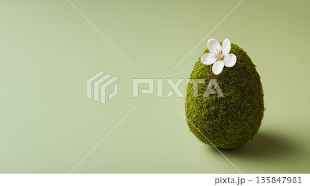 Moss-covered Easter egg with a delicate white flower on green background 135847981