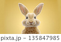 Adorable fluffy rabbit with puffed cheeks on yellow background 135847985