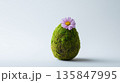 Delicate moss-covered Easter egg with pink blossom 135847995