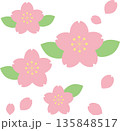 シンプルな桜の素材セット 135848517