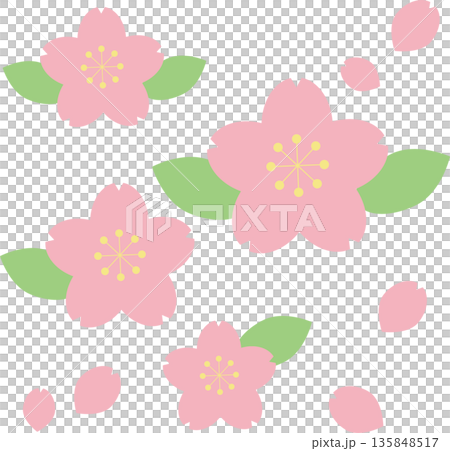 Simple cherry blossom material set Simple cherry blossom material set 135848517
