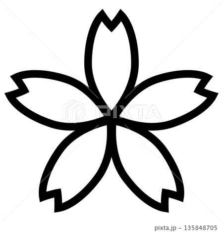 シンプルな桜の素材-2-8 135848705