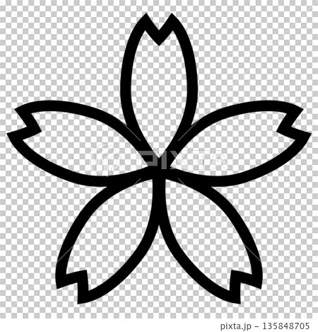 シンプルな桜の素材-2-8 135848705