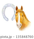 水彩イラスト　手描きイラスト　栗毛の馬と蹄鉄 135848760