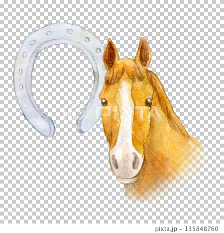 水彩插畫，手繪插畫，栗色馬和馬蹄鐵 135848760