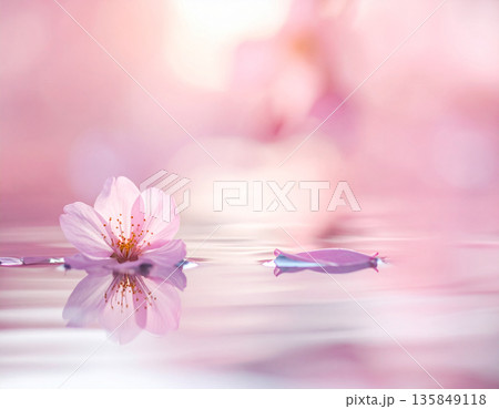 SAKURA MOCK UP サクラ　看板 135849118