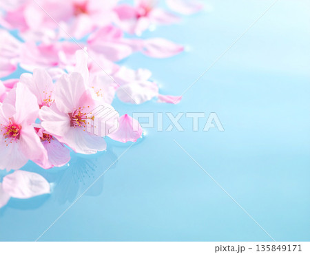 SAKURA MOCK UP サクラ　看板 135849171