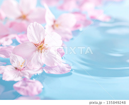 SAKURA MOCK UP サクラ　看板 135849248