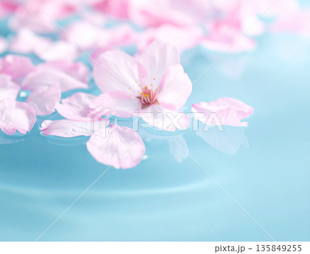 SAKURA MOCK UP サクラ　看板 135849255