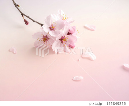 SAKURA MOCK UP サクラ 看板 SAKURA MOCK UP サクラ 看板 135849256