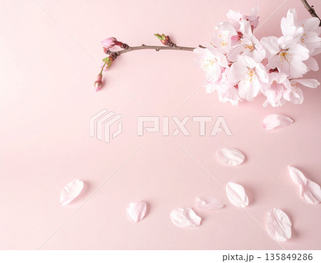 SAKURA MOCK UP サクラ　看板 135849286