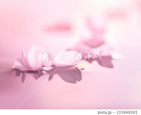 SAKURA MOCK UP サクラ　看板 135849301