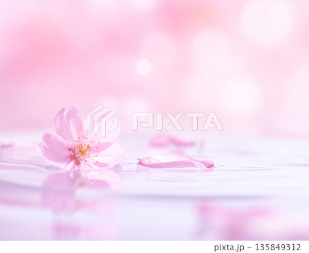 SAKURA MOCK UP サクラ　看板 135849312