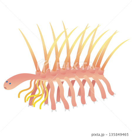 ハルキゲニア　カンブリア紀の古生物 135849465