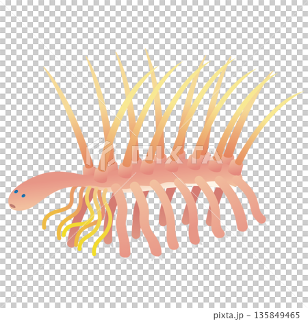 ハルキゲニア　カンブリア紀の古生物 135849465