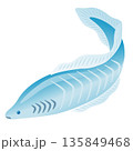 ハイコウイクティス　カンブリア紀の古生物 135849468