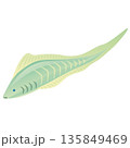ミロクンミンギア　カンブリア紀の古生物 135849469