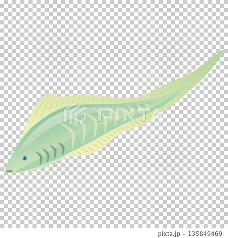 Milocummingia, a Cambrian prehistoric animal Milocummingia, a Cambrian prehistoric animal 135849469