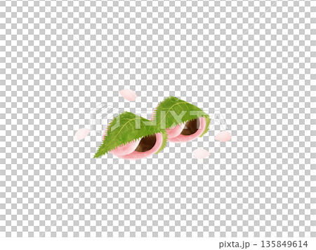 Two Kanto-style sakura mochi and falling cherry blossom petals, Japanese sweets, spring sweets, watercolor illustration, white background 135849614