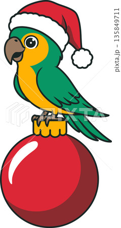Parrot in Santa Hat on Christmas Ornament Cartoon Illustration 135849711