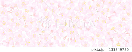 桜の花を敷き詰めたような背景イラスト 135849780
