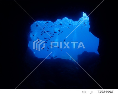 海中洞窟の出口と魚たち 135849981